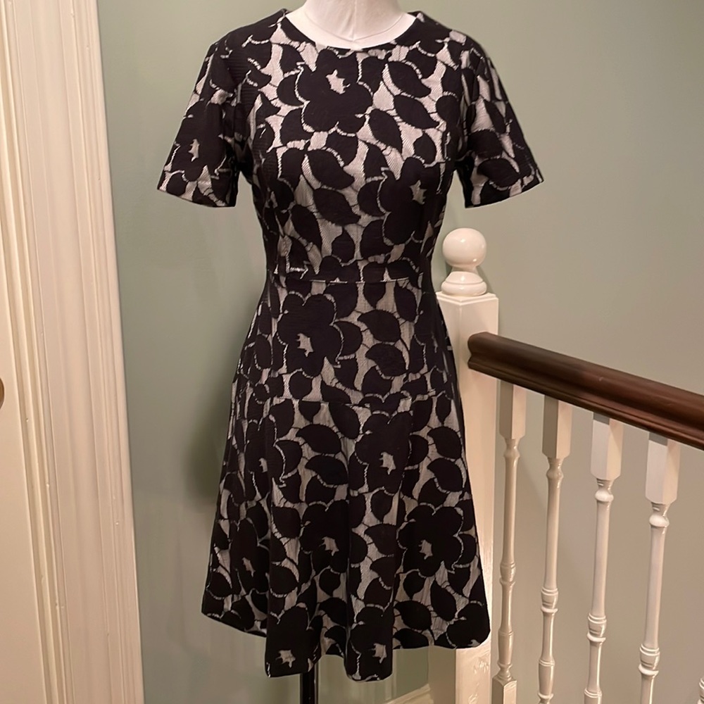 Ann Taylor petite dress. Perfect for the office.